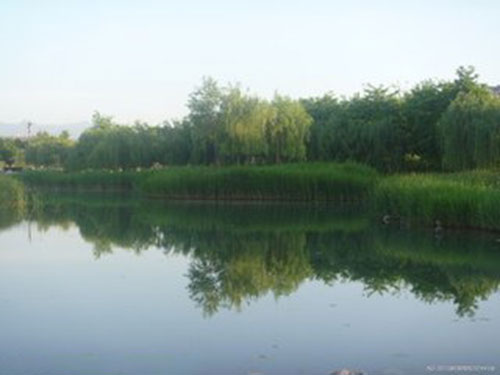 永磷風(fēng)采14 永磷風(fēng)采14